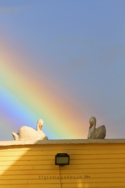 Arcobaleno irlandese